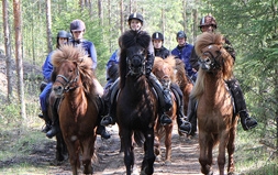 Colville horse trekking