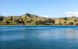 Otautu Bay activities