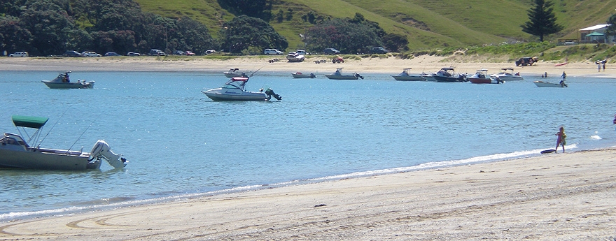 Coromandel beautiful beaches