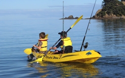 activities in Colville and Coromandel